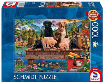 A family of dogs at the lake