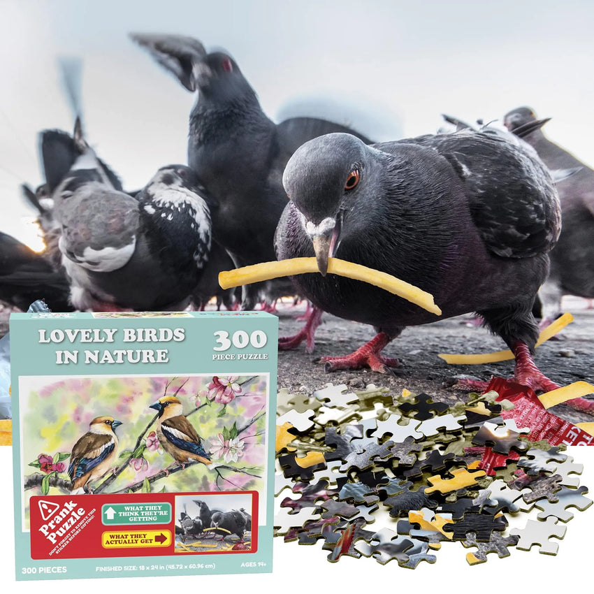 Brain Games LV Izjokošanas puzle: Doing Things Birds Prank Puzzle 300gab