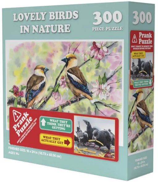 Brain Games LV Izjokošanas puzle: Doing Things Birds Prank Puzzle 300gab