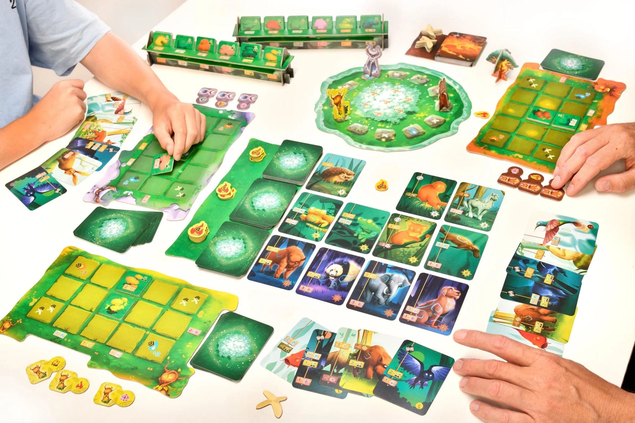 BrainGames galda spēles Living Forest