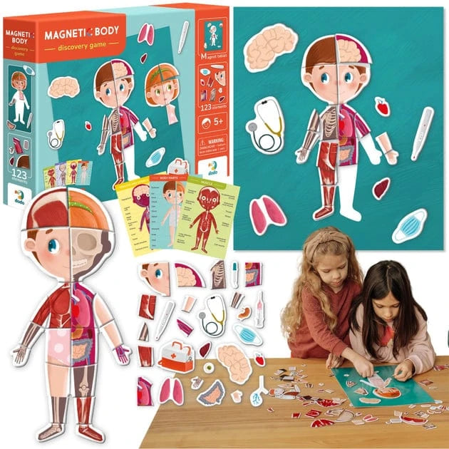Brain Games LV Magnetic Body