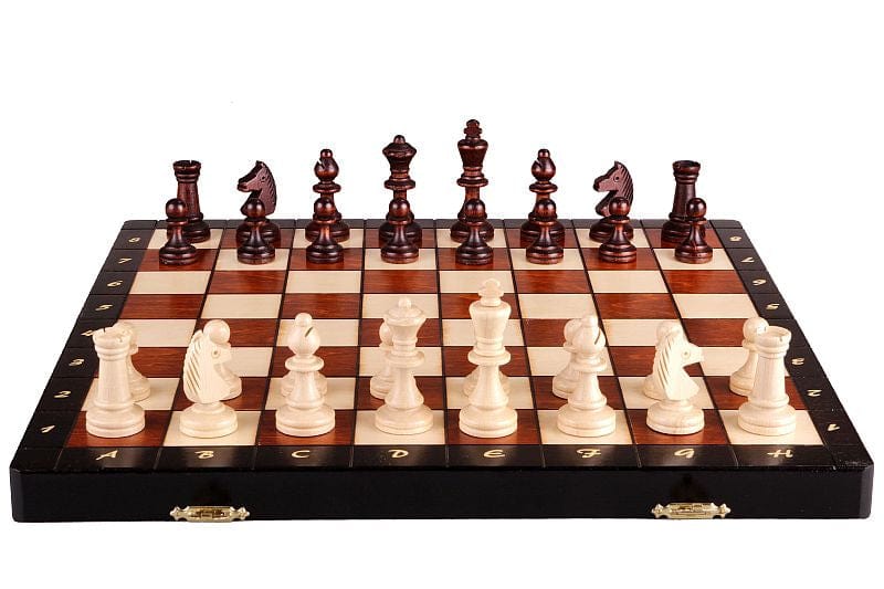 Brain Games LV MAGNETIC NEW /insert