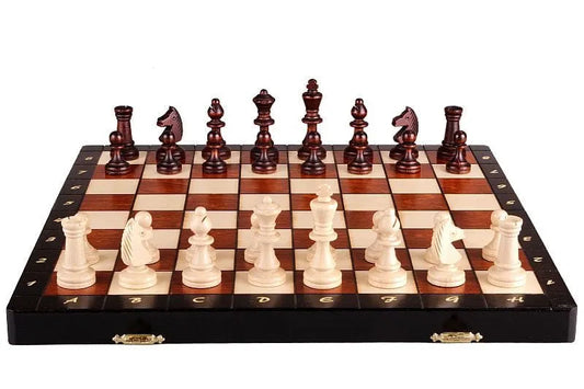 Brain Games LV MAGNETIC NEW /insert