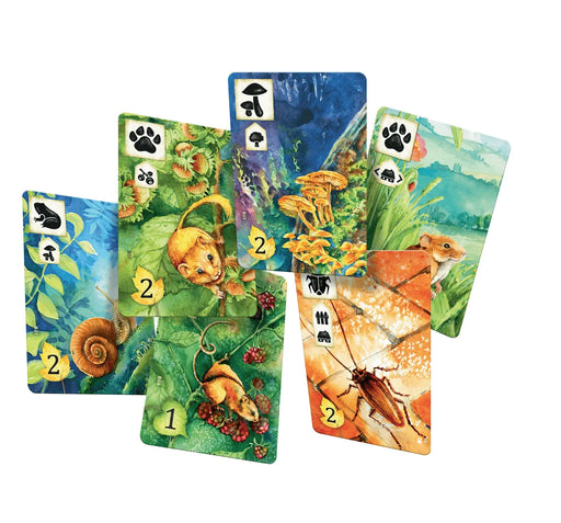 Brain Games LV galda spēles Meadow