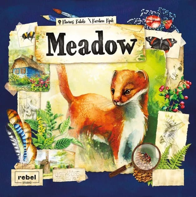 Brain Games LV galda spēles Meadow