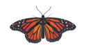 Brain Games LV Mēroga modelis Monarch Butterfly, metāla konstruktors