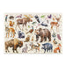 Brain Games LV Montessori puzzle "Forest animals"