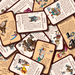 Brain Games LV Munchkin Cheats