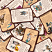 Brain Games LV Munchkin Cheats