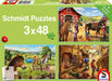 Brain Games LV My favourite horses