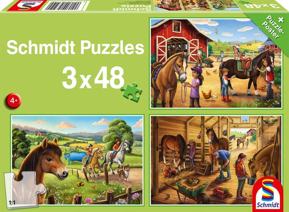 Brain Games LV My favourite horses