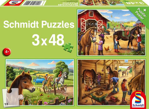 Brain Games LV My favourite horses