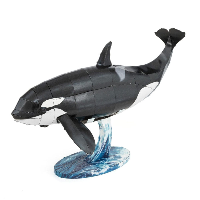 Brain Games LV Orca (Killer Whale)