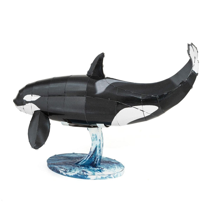 Brain Games LV Orca (Killer Whale)