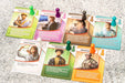 Brain Games galda spēles Pandemic