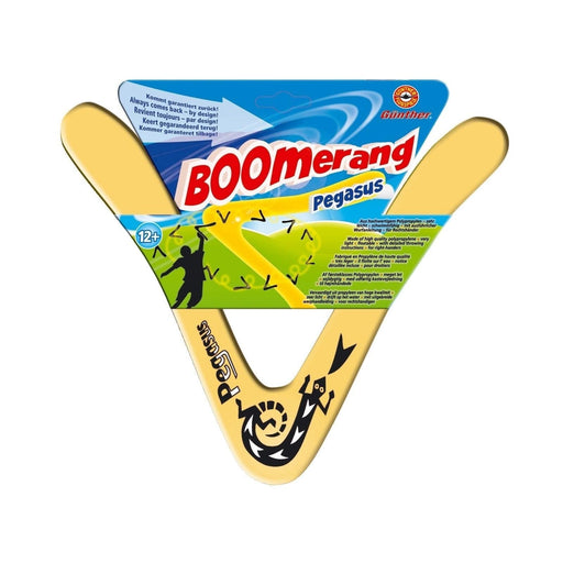 Brain Games LV galda spēles PEGASUS - boomerang