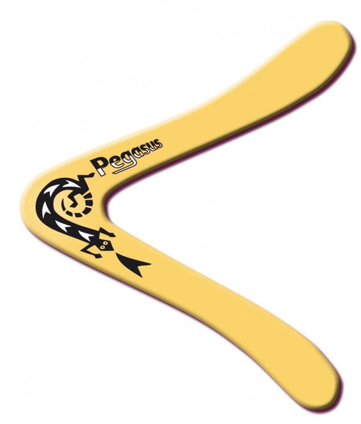 Brain Games LV galda spēles PEGASUS - boomerang
