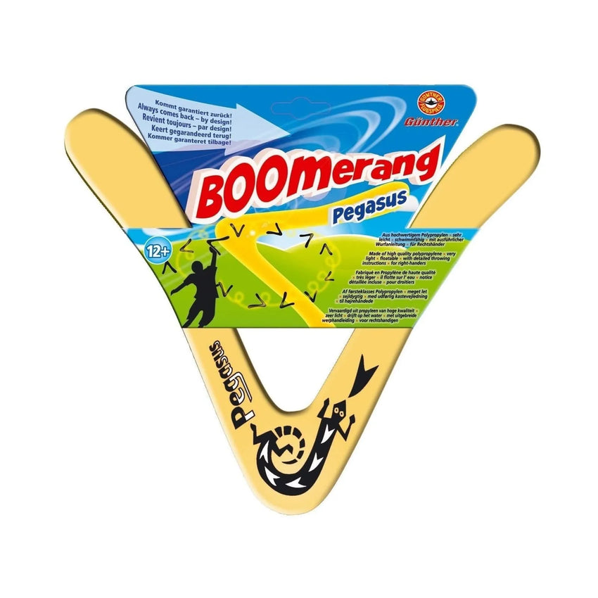 Brain Games LV galda spēles PEGASUS - boomerang