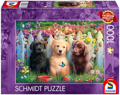Cute puppies scene