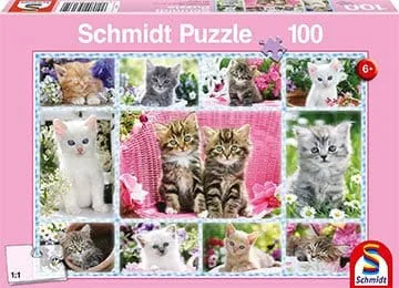 Brain Games LV Puzles Puzle 100 - Kaķēni