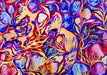 Brain Games LV Puzles Puzle 1000 Purple Witty Fox - Fairy-tale birds