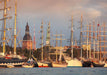 Brain Games LV Puzles Puzle 1000 Purple Witty Fox - Latvija, Tall Ships Races jahtu regate Rīgā