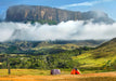 Brain Games LV Puzles Puzle 1000 Purple Witty Fox - Venecuēla, Roraima