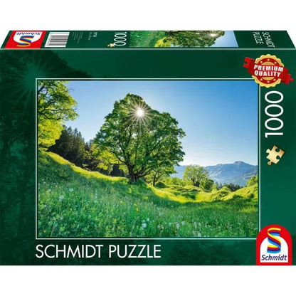 Brain Games LV Puzles Puzle 1000 - St. Gallen, Switzerland