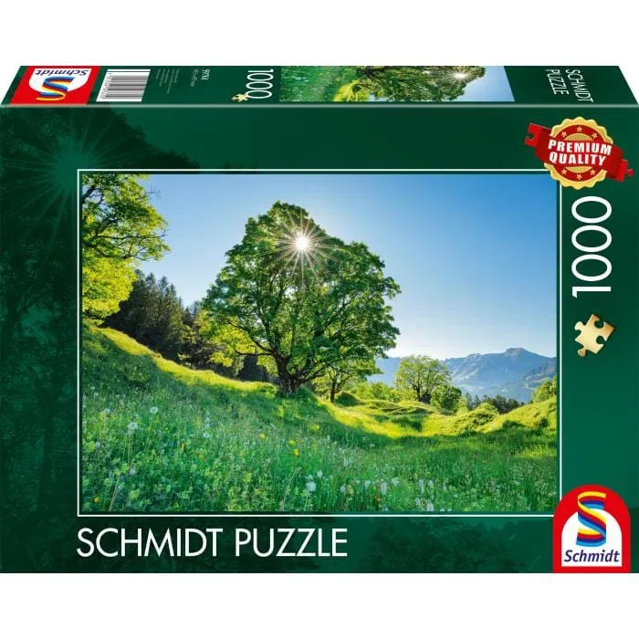 Brain Games LV Puzles Puzle 1000 - St. Gallen, Switzerland