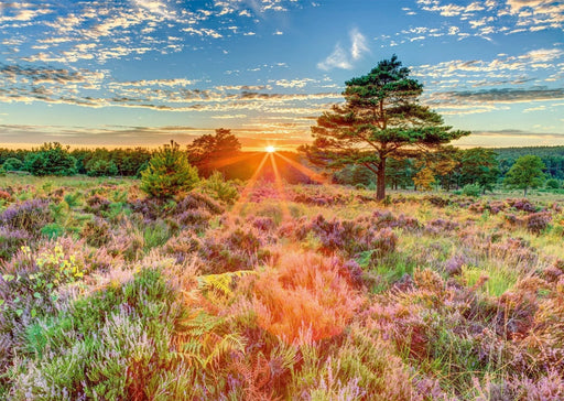 n/a n/a Puzle -Sunset on the heath
