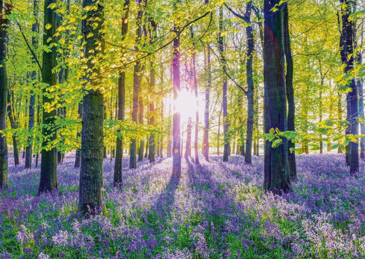n/a n/a Puzle - Transquil bluebell woods