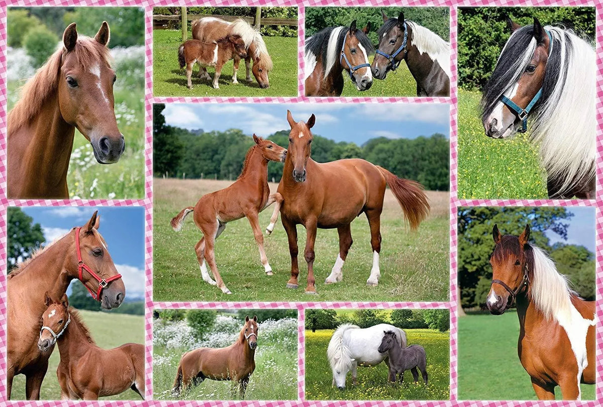 Brain Games LV Puzles Puzle 150 - Beautiful Horses