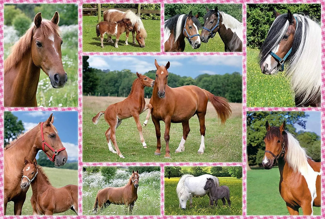 Brain Games LV Puzles Puzle 150 - Beautiful Horses