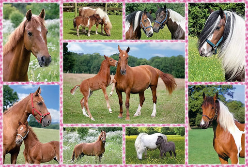 Brain Games LV Puzles Puzle 150 - Beautiful Horses