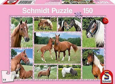 Brain Games LV Puzles Puzle 150 - Beautiful Horses