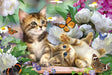 Brain Games LV Puzles Puzle 150 - Playful Kittens