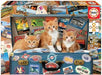 Brain Games LV Puzles Puzle 200 - Travelling Kittens