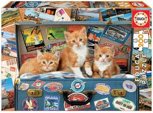 Brain Games LV Puzles Puzle 200 - Travelling Kittens