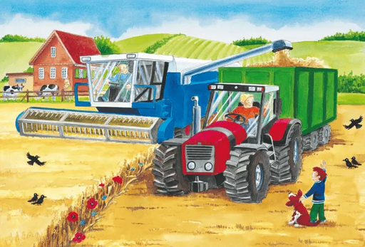 Brain Games LV Puzles Puzle 24x3 - On The Farm