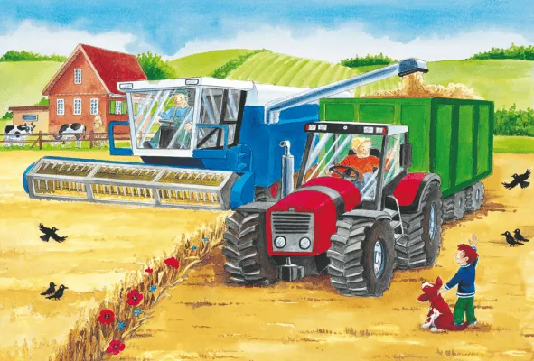 Brain Games LV Puzles Puzle 24x3 - On The Farm