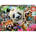 Brain Games LV Puzles Puzle 300 - Black-Eyed Friends Self