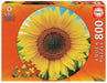 Brain Games LV Puzles Puzle 800 - Sunflower