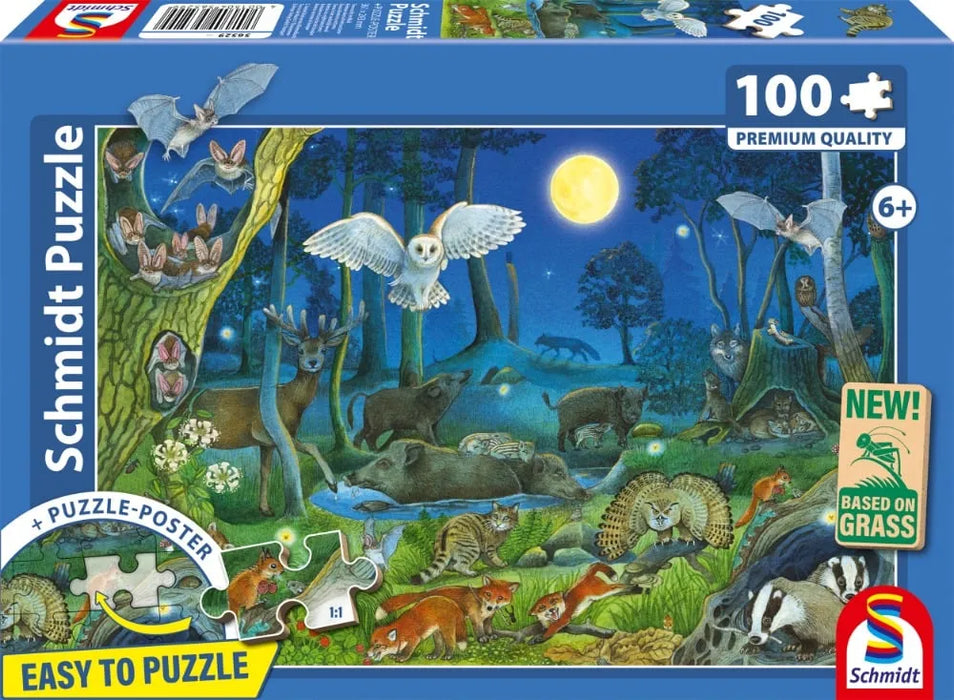Brain Games LV Puzles Puzle Meža dzīvnieki naktī 100