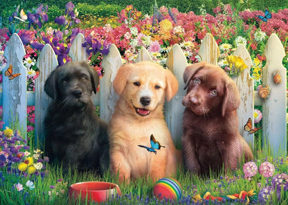 Cute puppies scene