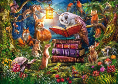Bedtime stories in the woods