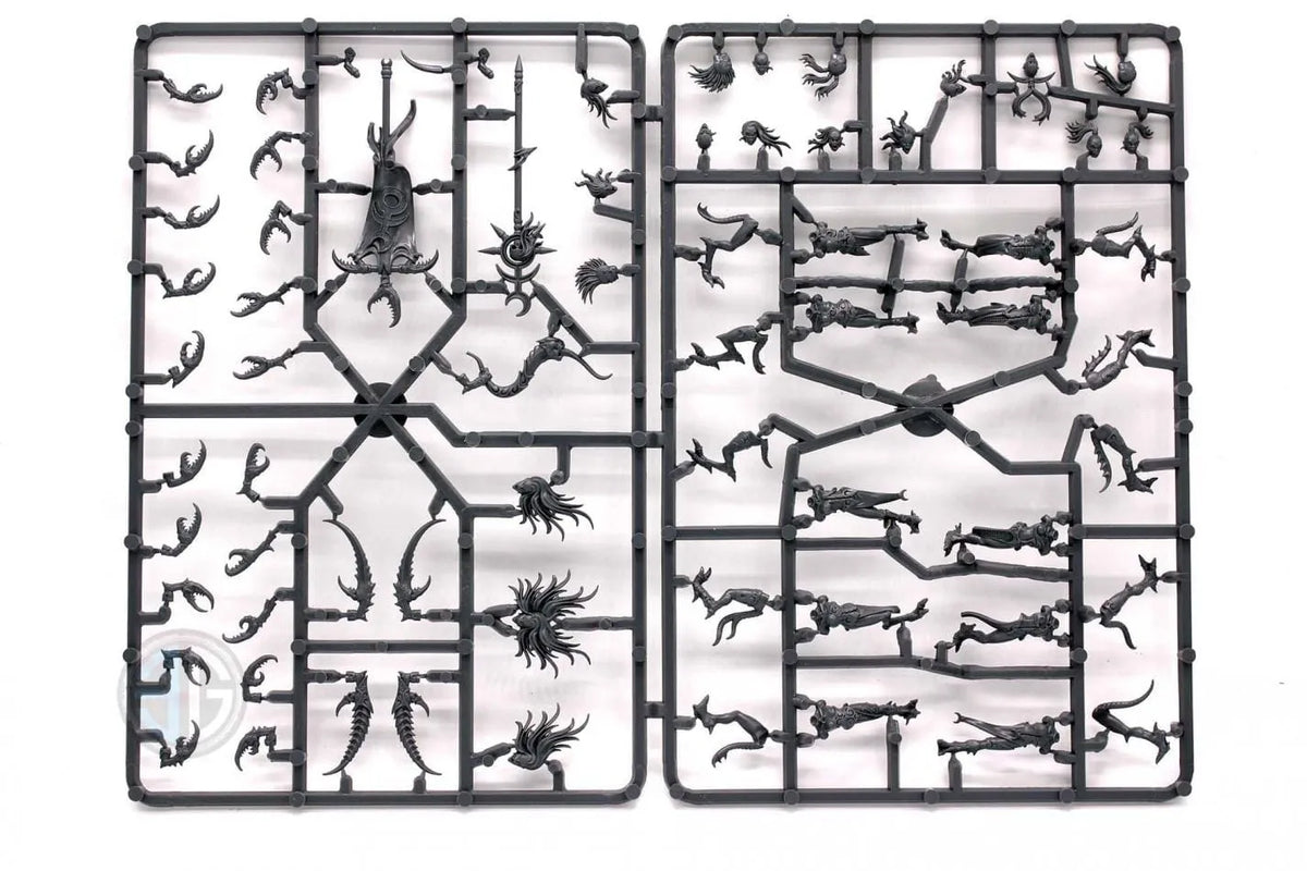 Brain Games LV START COLLECTING! DAEMONS OF SLAANESH