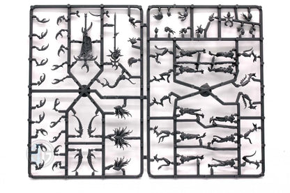 Brain Games LV START COLLECTING! DAEMONS OF SLAANESH
