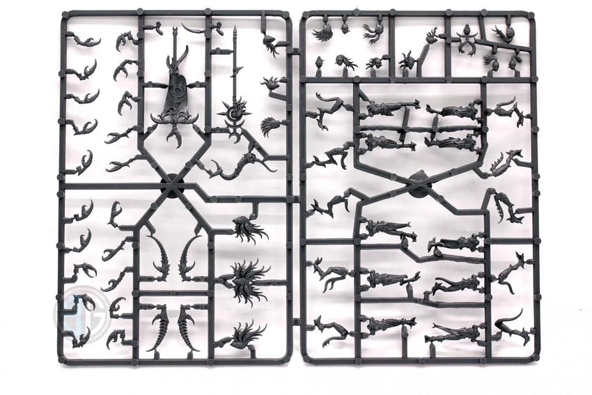 Brain Games LV START COLLECTING! DAEMONS OF SLAANESH