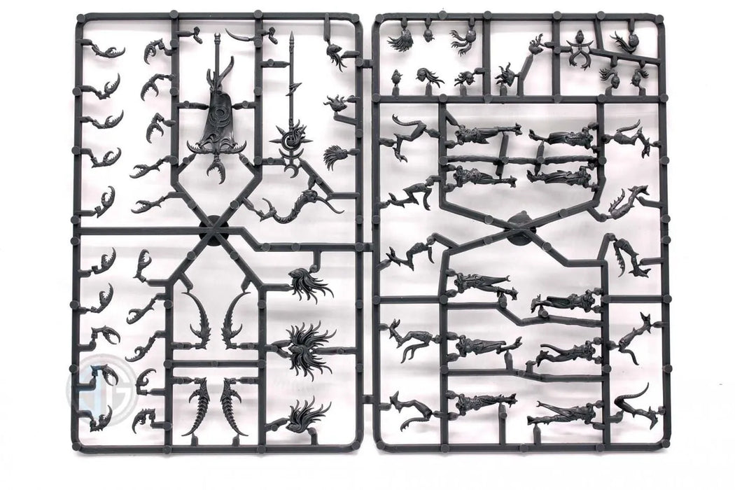 Brain Games LV START COLLECTING! DAEMONS OF SLAANESH
