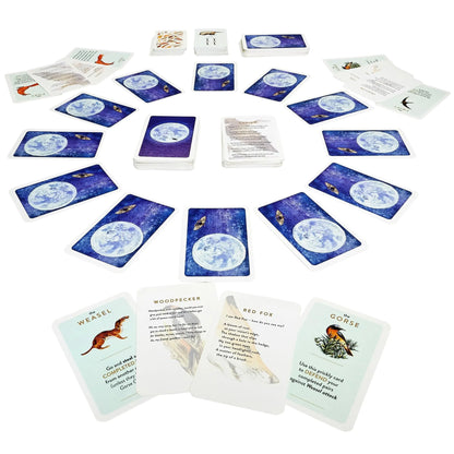 Brain Games LV galda spēles The Lost Spells Card Game